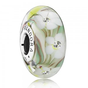 Pandora Beads Murano Glass Multi Coloured Floral Charm