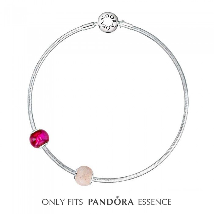 Pandora Bracelet Amour Love Complete Sterling Silver