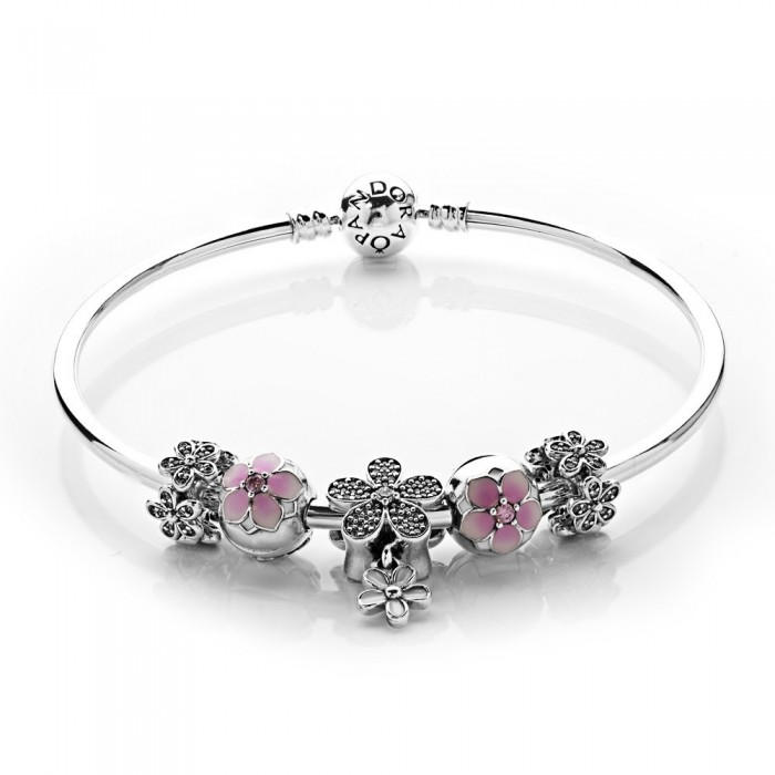 Pandora Bracelet Dazzling Daisy Floral Complete Bangle Silver
