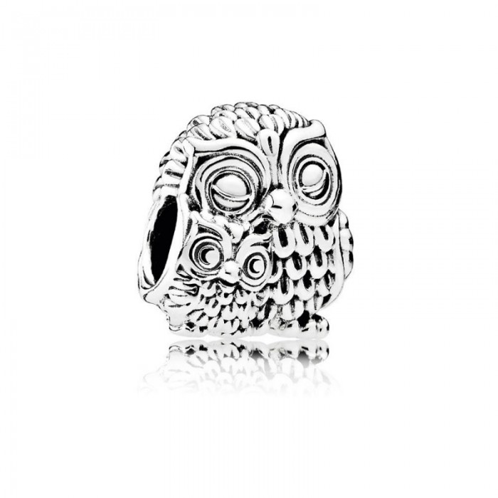 Pandora Charm ing Owls