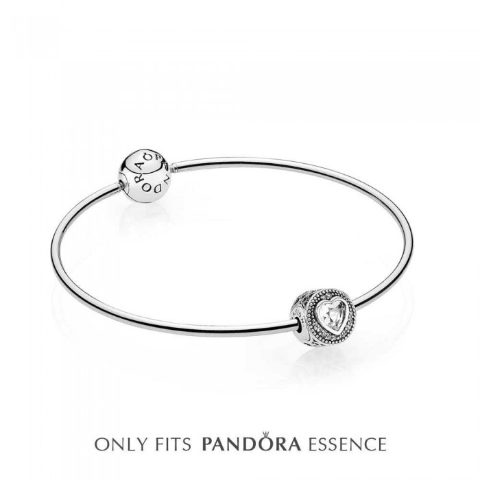 Pandora Bracelet Silver Passion Bangle Love Complete
